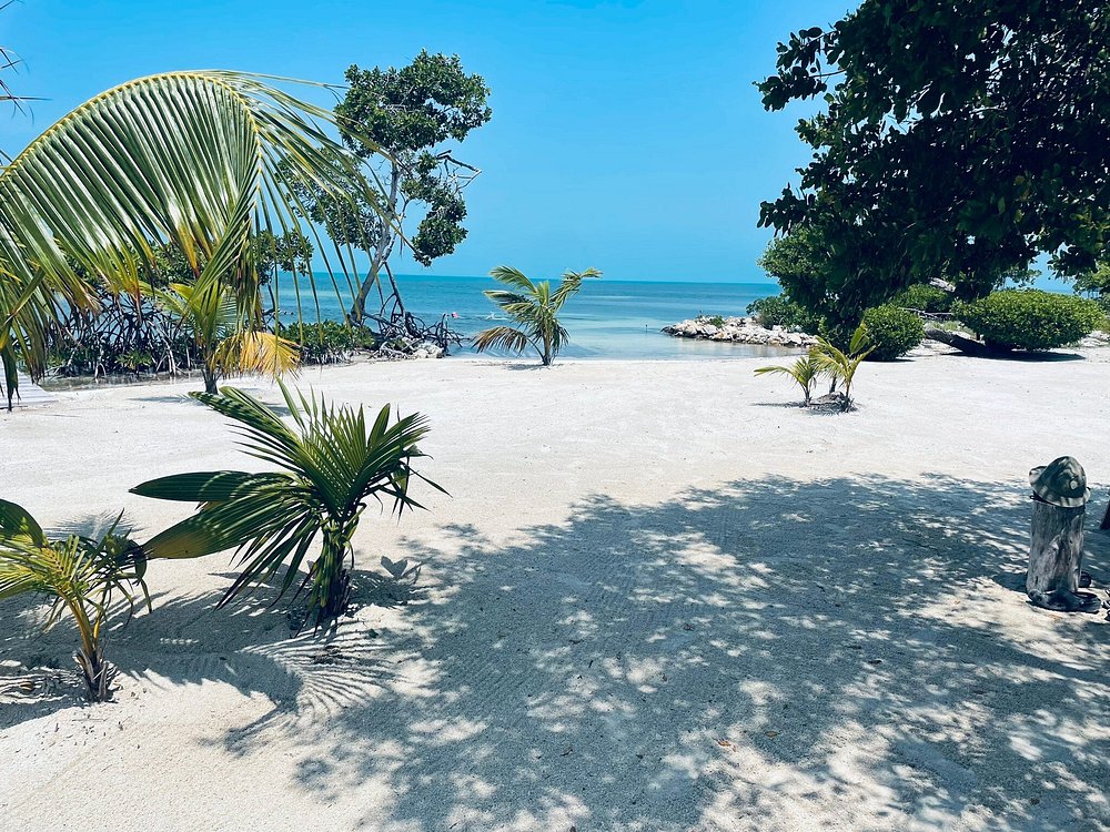 Beautiful sandy beach