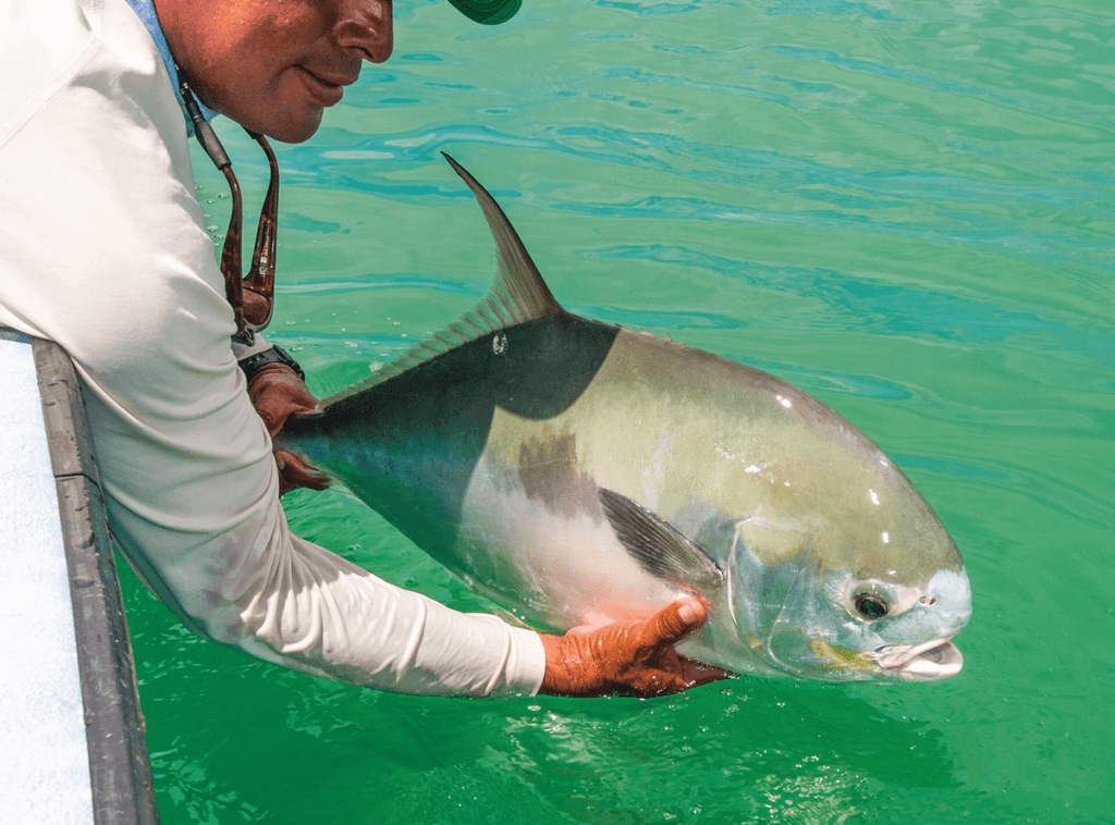 Catch and release fishing