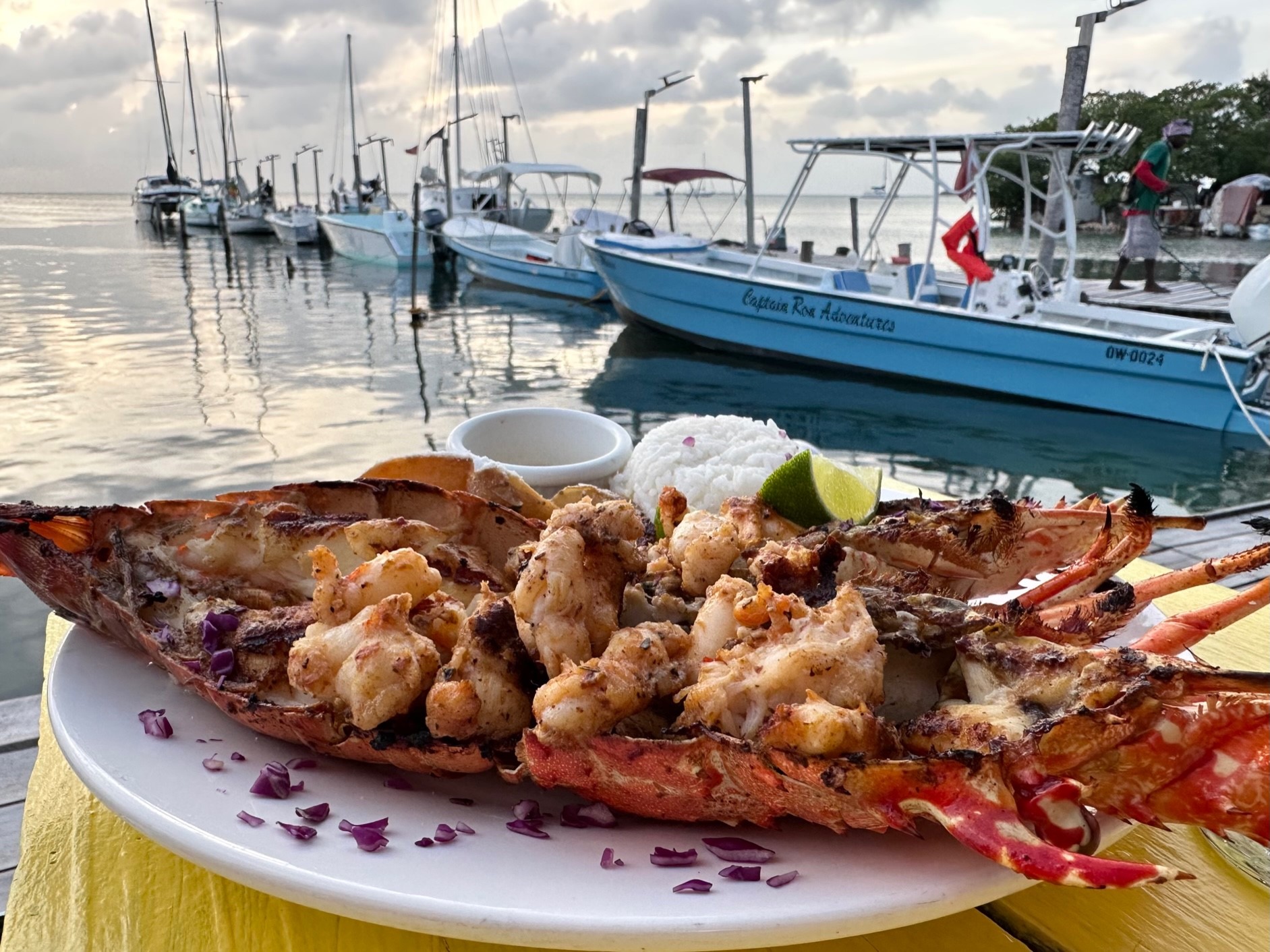 Freshly grilled lobster